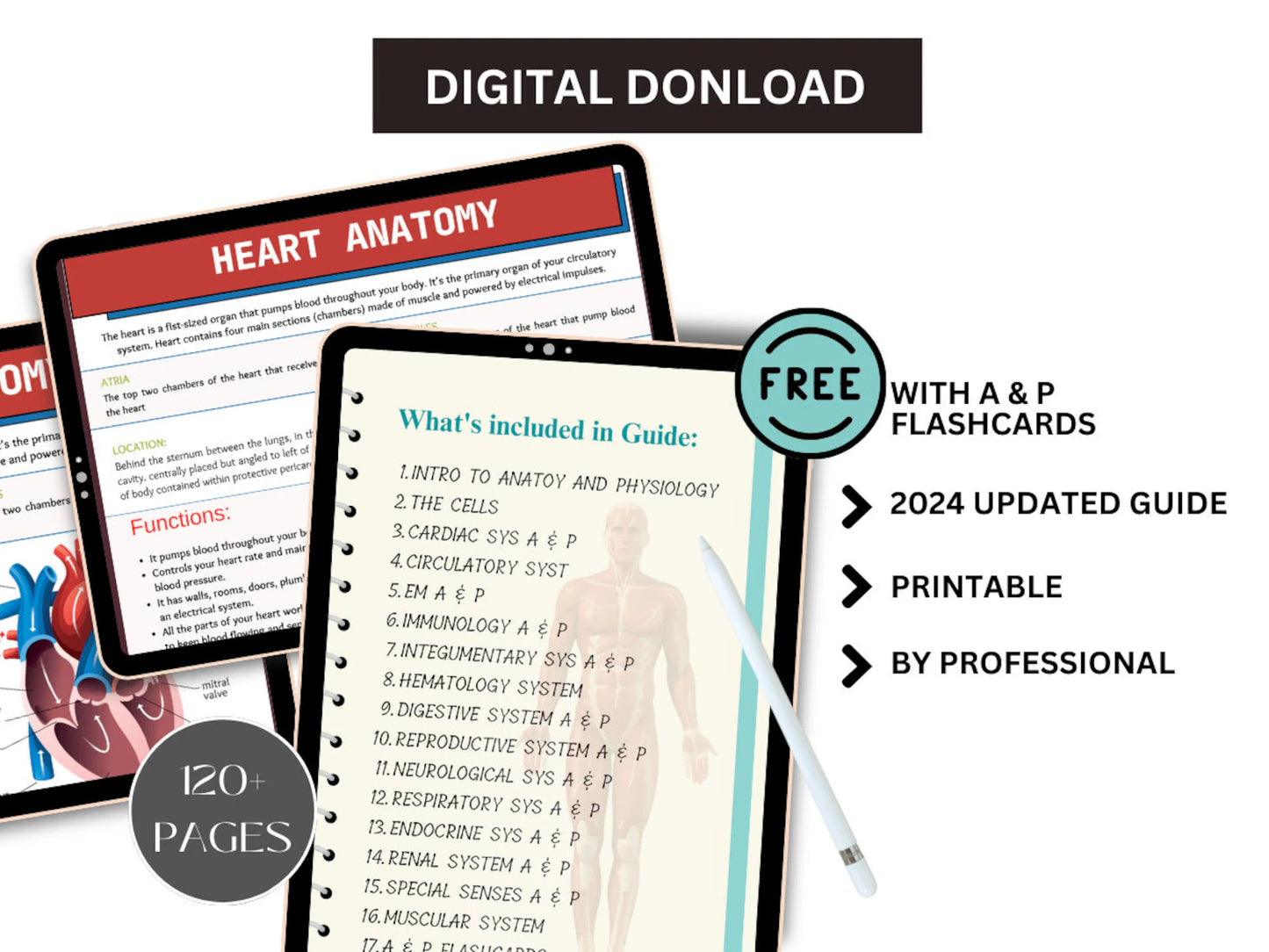 Anatomy & Physiology Bundle with Flashcards- Anatomy Study Guide- Nursing School Notes- Advance Anatomy Physiology Bundle- Medical Notes